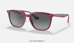 rb4362 gepolijst bordeaux/grijs XX46DZ1304 Heren Ray-Ban zonnebril