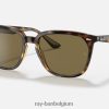 rb4362 gepolijst havana/donkerbruin XX46DZ1299 Heren Ray-Ban zonnebril