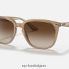 rb4362 gepolijst lichtbruin/bruin XX46DZ1297 Heren Ray-Ban zonnebril
