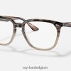 rb4362 optiek gepolijst bruin havana XX46DZ1969 Heren Ray-Ban bril