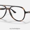 rb4376v-optiek gepolijst havanna XX46DZ1804 Heren Ray-Ban bril