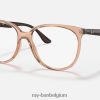 rb4378v-optiek gepolijst transparant bruin XX46DZ2636 vrouwen Ray-Ban bril