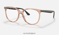 rb4378v-optiek gepolijst transparant bruin XX46DZ2636 vrouwen Ray-Ban bril