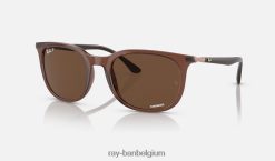 rb4386 gepolijst transparant bruin/bruin XX46DZ1493 Heren Ray-Ban zonnebril