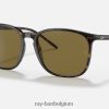 rb4387 glanzend schildpad/bruin XX46DZ730 Heren Ray-Ban zonnebril