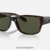 rb4388 glanzend havana/groen XX46DZ371 Heren Ray-Ban zonnebril