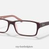 rb5169 optiek gepolijst transparant bruin XX46DZ1775 Heren Ray-Ban bril