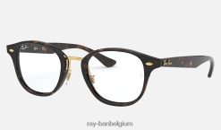 rb5355 optiek gepolijste schildpad XX46DZ2511 Heren Ray-Ban bril
