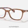 rb5362 optiek gepolijst transparant bruin XX46DZ2613 vrouwen Ray-Ban bril