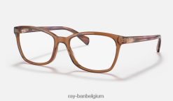 rb5362 optiek gepolijst transparant bruin XX46DZ2613 vrouwen Ray-Ban bril