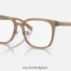 rb5419 optiek gepolijst transparant bruin XX46DZ2532 Heren Ray-Ban bril