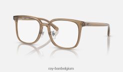 rb5419 optiek gepolijst transparant bruin XX46DZ2532 Heren Ray-Ban bril