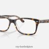 rb5428 optiek gepolijst havana op transparant XX46DZ1851 Heren Ray-Ban bril