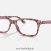 rb5428 optiek gepolijst rood XX46DZ1854 Heren Ray-Ban bril