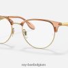 rb6396 optiek gepolijst bruin op goud XX46DZ2124 Heren Ray-Ban bril