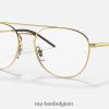 rb6414 optiek gepolijst goud XX46DZ2008 Heren Ray-Ban bril