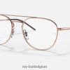 rb6414 optiek gepolijst roségoud XX46DZ2011 Heren Ray-Ban bril