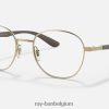 rb6461 optiek gepolijst goud XX46DZ2346 Heren Ray-Ban bril