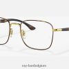rb6469 optiek gepolijst havana op goud XX46DZ1915 Heren Ray-Ban bril