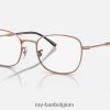 rb6497 optiek gepolijst roségoud XX46DZ1673 Heren Ray-Ban bril