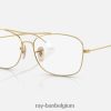 rb6499 optiek gepolijst goud XX46DZ2224 Heren Ray-Ban bril