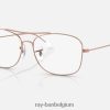 rb6499 optiek gepolijst roségoud XX46DZ2223 Heren Ray-Ban bril