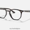 rb7151 zeshoekige optiek gepolijst havanna XX46DZ1723 Heren Ray-Ban bril