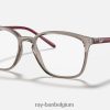 rb7185 gepolijst transparant grijs XX46DZ2416 Heren Ray-Ban bril