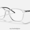rb7185 gepolijst transparant XX46DZ2417 Heren Ray-Ban bril