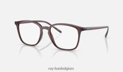 rb7185 optiek gepolijst transparant bruin XX46DZ2144 Heren Ray-Ban bril