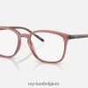 rb7185 optiek gepolijst transparant lichtbruin XX46DZ2142 Heren Ray-Ban bril