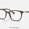rb7211 optiek gepolijst transparant bruin XX46DZ2104 Heren Ray-Ban bril