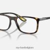 rb7222m optica scuderia ferrari collectie gepolijst havanna XX46DZ1930 Heren Ray-Ban zonnebril