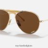 rb8063 titanium gepolijst goud/donkerbruin XX46DZ1214 Heren Ray-Ban zonnebril