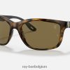 rb8356m scuderia ferrari-collectie gepolijst havana/donkerbruin XX46DZ1175 Heren Ray-Ban zonnebril