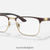rb8421 optiek gepolijst bruin op goud XX46DZ2080 Heren Ray-Ban bril