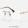 rb8748 optiek gepolijst lichtbruin XX46DZ2284 Heren Ray-Ban bril