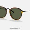 ronde vlek gepolijst zwart havana/groen XX46DZ633 Heren Ray-Ban zonnebril