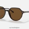 Thalia gepolijst havana/bruin XX46DZ268 Heren Ray-Ban zonnebril