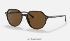 Thalia gepolijst havana/bruin XX46DZ268 Heren Ray-Ban zonnebril