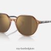 Thalia gepolijst transparant bruin/goud XX46DZ271 Heren Ray-Ban zonnebril