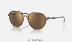 Thalia gepolijst transparant bruin/goud XX46DZ271 Heren Ray-Ban zonnebril