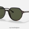 Thalia glanzend havana/groen XX46DZ267 Heren Ray-Ban zonnebril