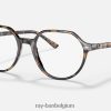 thalia optiek gepolijst bruin/grijs havana XX46DZ1662 Heren Ray-Ban bril