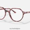 thalia optiek gepolijst bruin/violet havana XX46DZ1663 Heren Ray-Ban bril