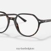 thalia optiek gepolijst havanna XX46DZ1666 Heren Ray-Ban bril