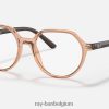 thalia optiek gepolijst transparant bruin XX46DZ2733 kinderen Ray-Ban bril