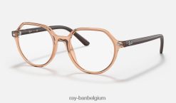 thalia optiek gepolijst transparant bruin XX46DZ2733 kinderen Ray-Ban bril