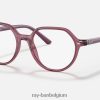 thalia optiek gepolijst transparant roze XX46DZ2729 kinderen Ray-Ban bril