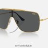vleugels II gepolijst goud/grijs XX46DZ780 Heren Ray-Ban zonnebril